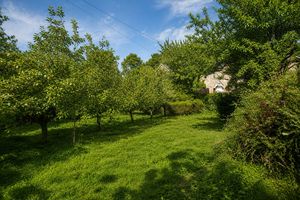 Garden Summer- click for photo gallery